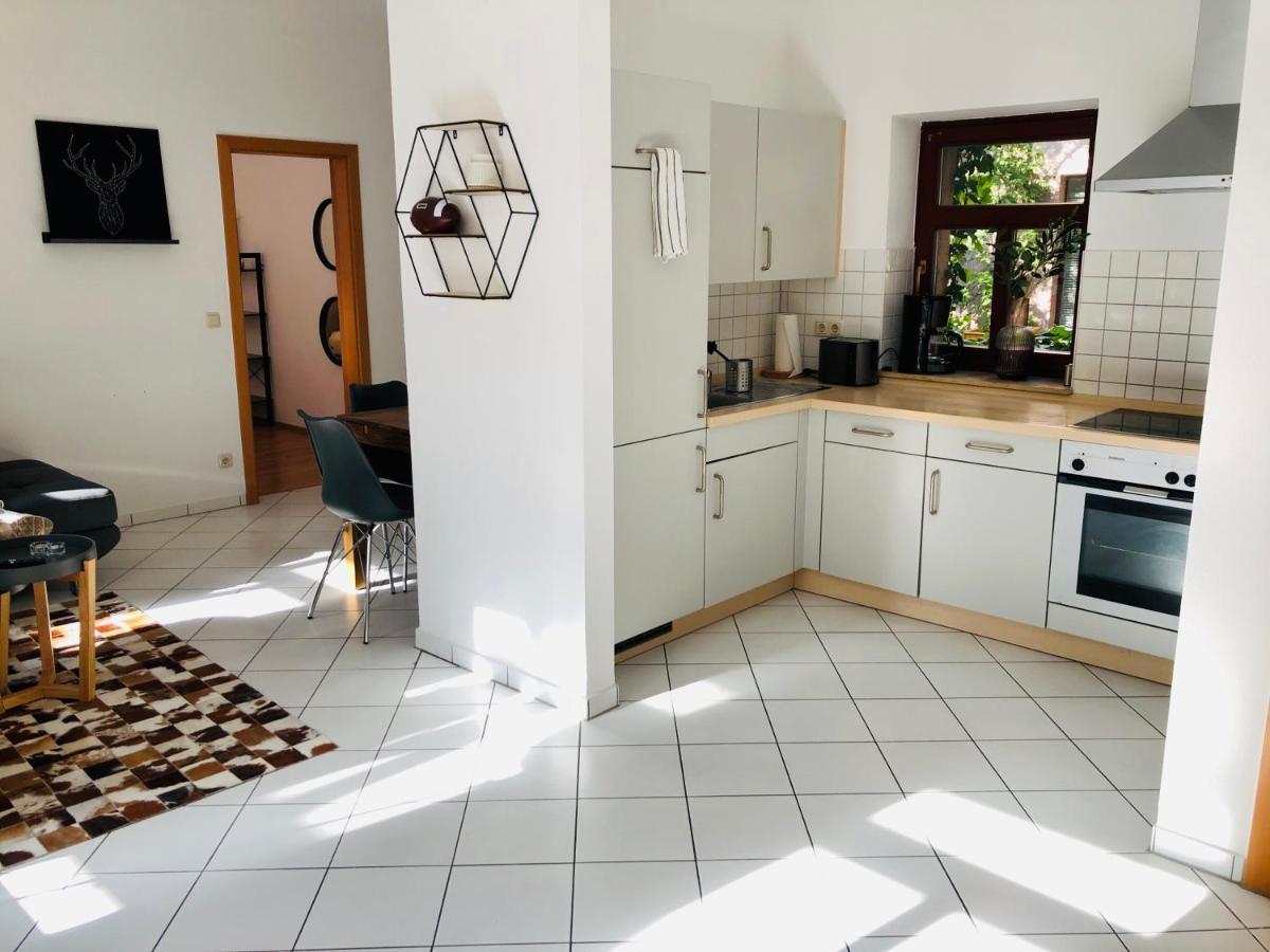 Ferienwohnungen Mit Terrasse In Zwingernaehe - Hilger Rentals 德累斯顿 外观 照片